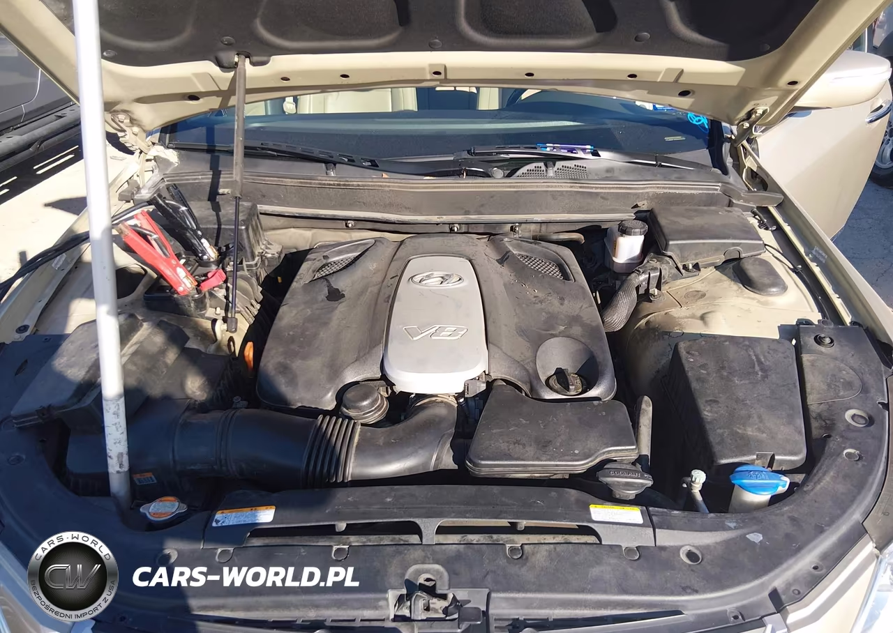 2010 Hyundai Genesis 4.6 VIN:KMHGC4DF6AU092507 - 10