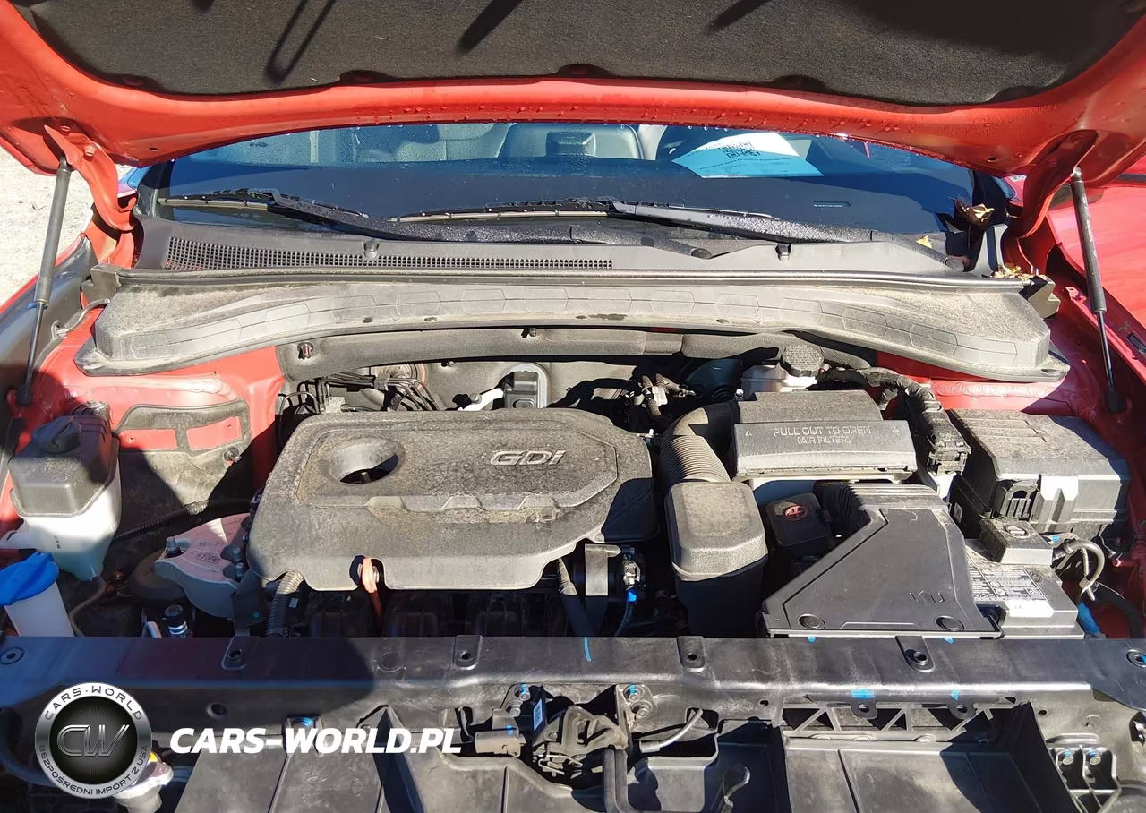 2020 Hyundai Santa Fe Limited VIN:5NMS53AD5LH145794 - 10