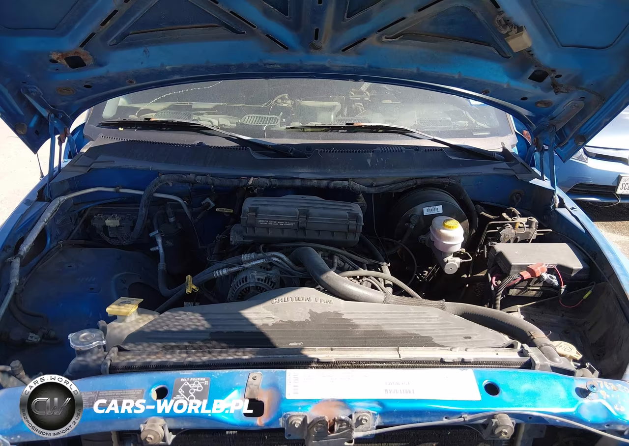 2000 Dodge Ram 1500 St VIN:3B7HC13Y5YM225475 - 10
