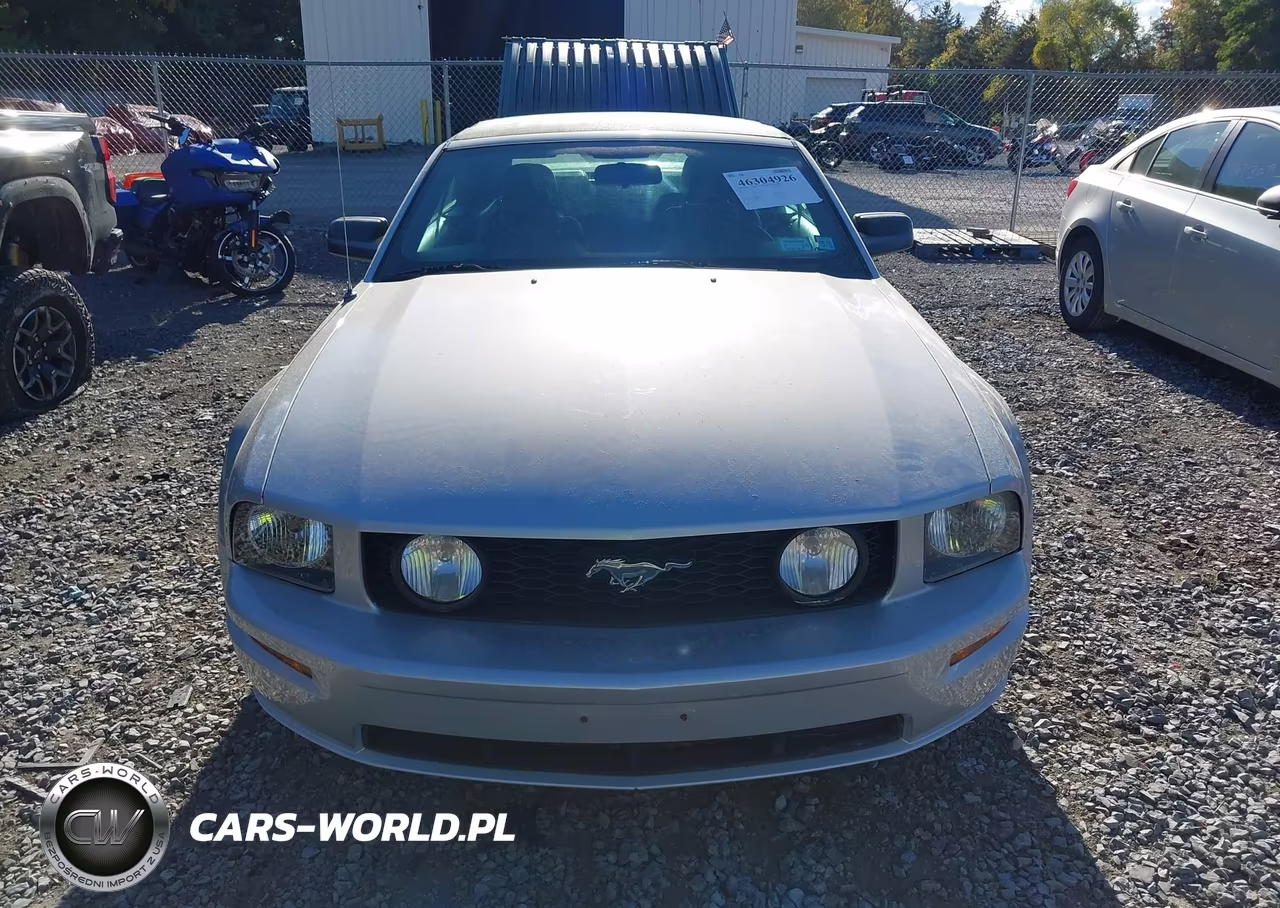 2005 Ford Mustang Gt VIN:1ZVFT85H955192153 - 12