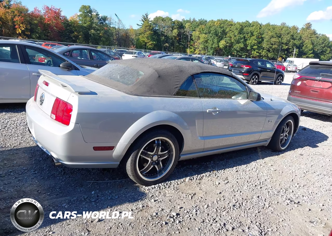 2005 Ford Mustang Gt VIN:1ZVFT85H955192153 - 13