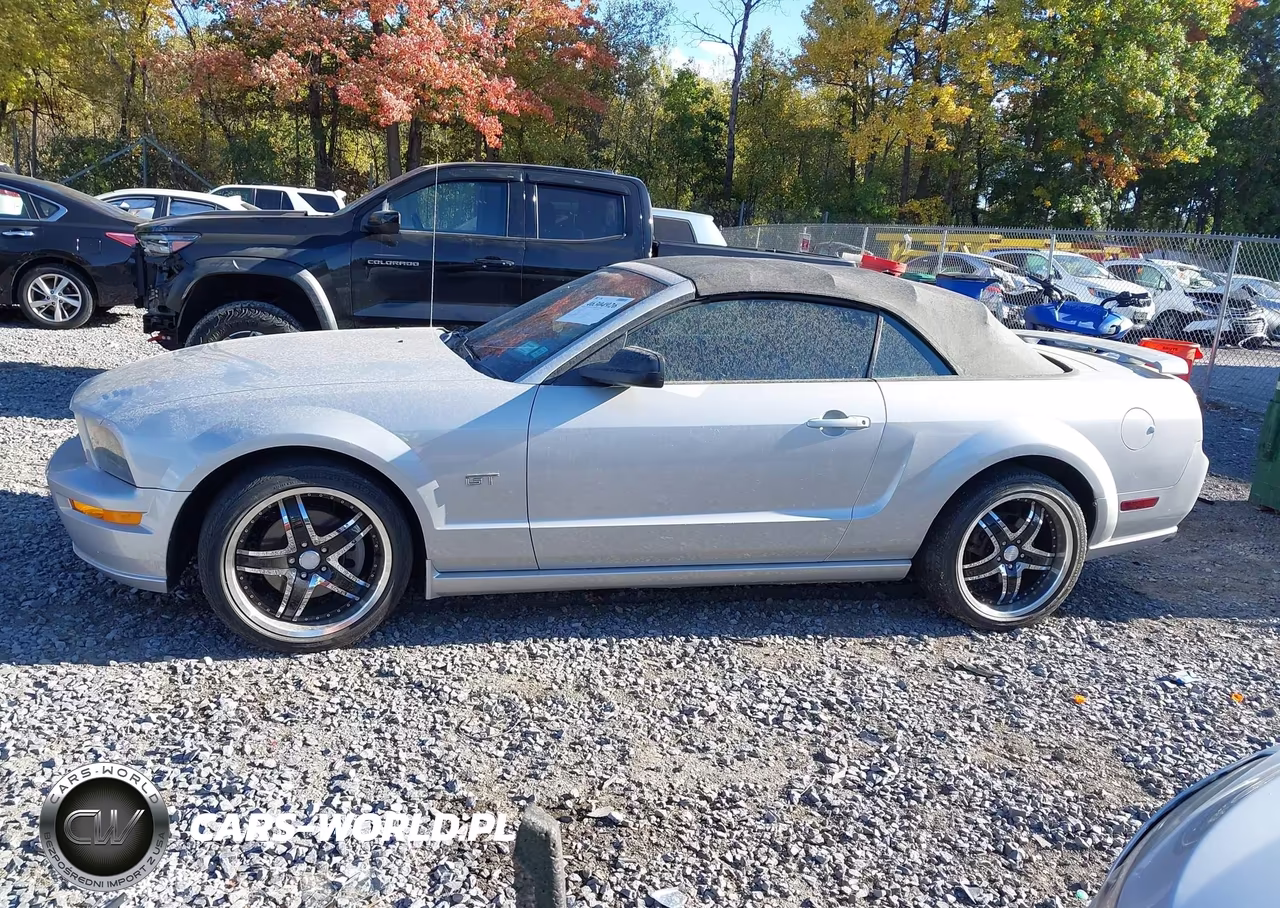 2005 Ford Mustang Gt VIN:1ZVFT85H955192153 - 14