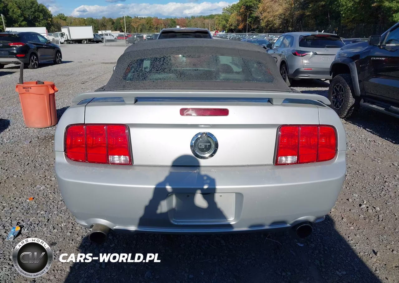 2005 Ford Mustang Gt VIN:1ZVFT85H955192153 - 16