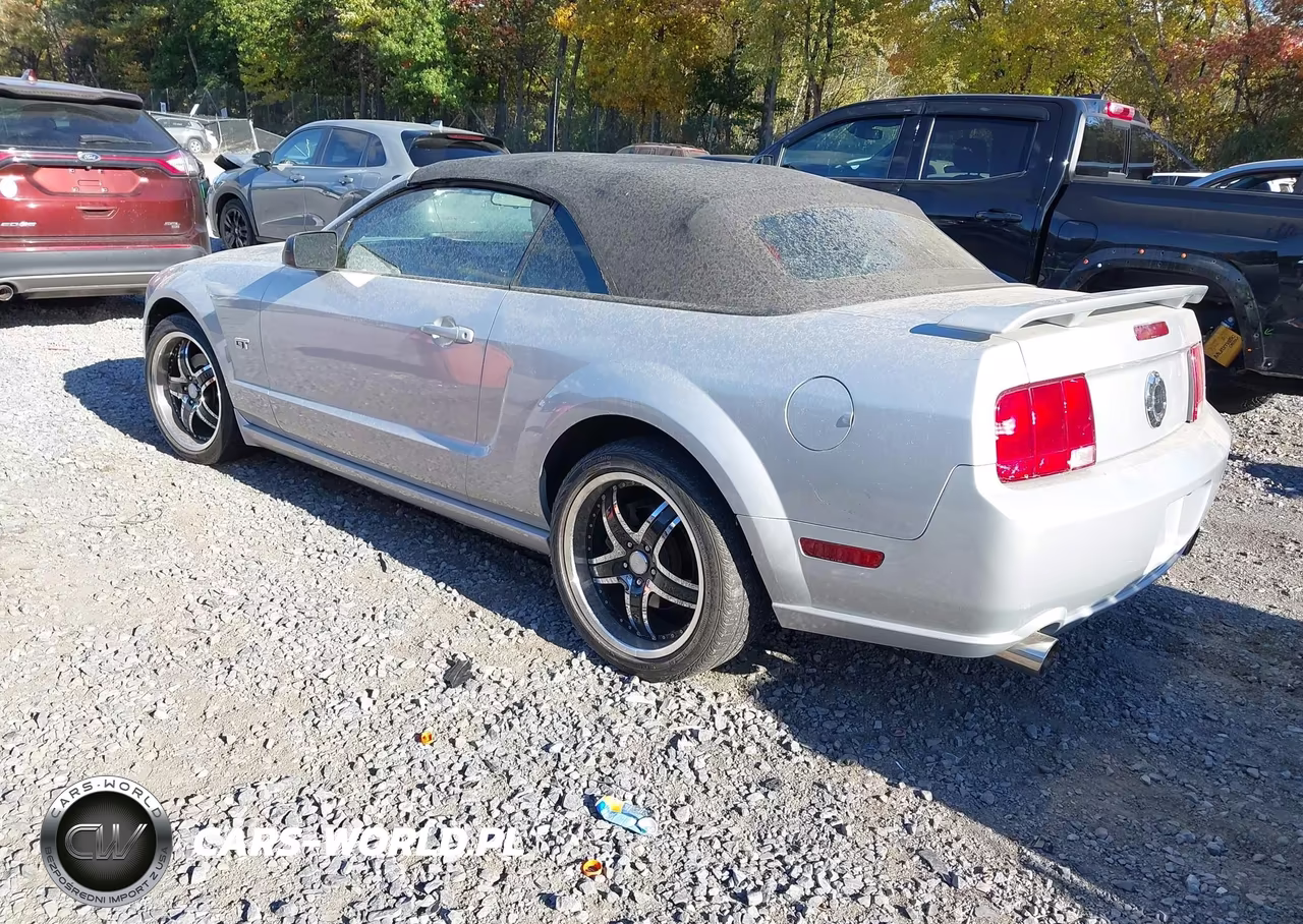 2005 Ford Mustang Gt VIN:1ZVFT85H955192153 - 3