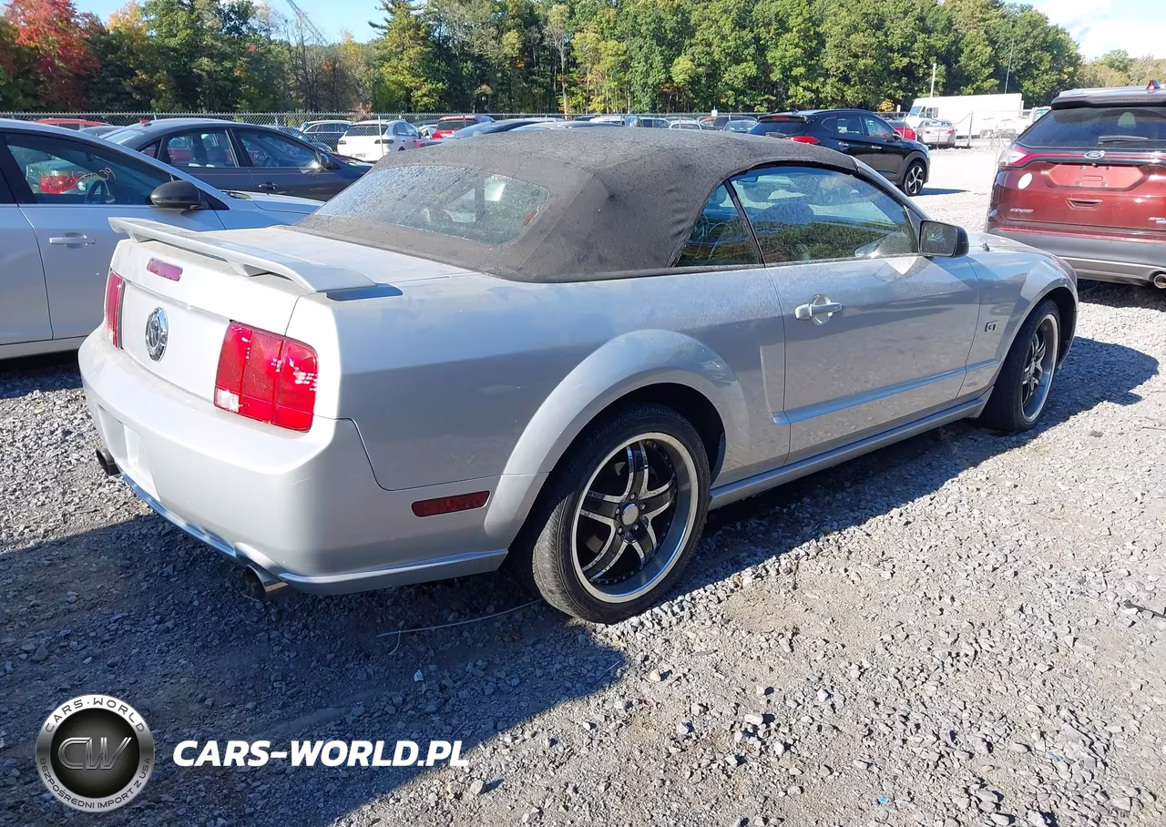 2005 Ford Mustang Gt VIN:1ZVFT85H955192153 - 4