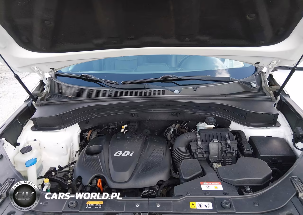 2014 Kia Sorento Lx VIN:5XYKT3A65EG481899 - 10