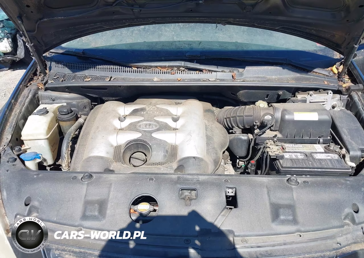 2006 Kia Sedona Ex-Lx VIN:KNDMB233466047647 - 10