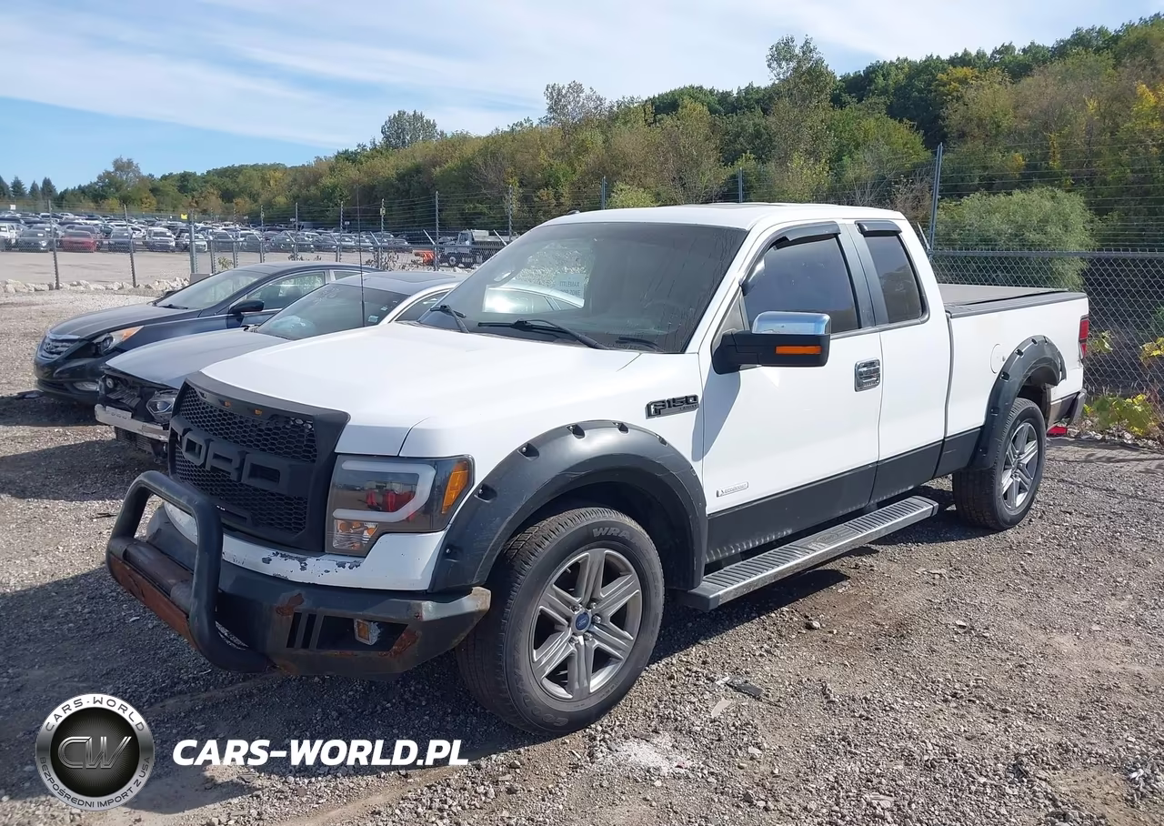 2013 Ford F-150 Lariat VIN:1FTFX1CT8DFB16664 - 2