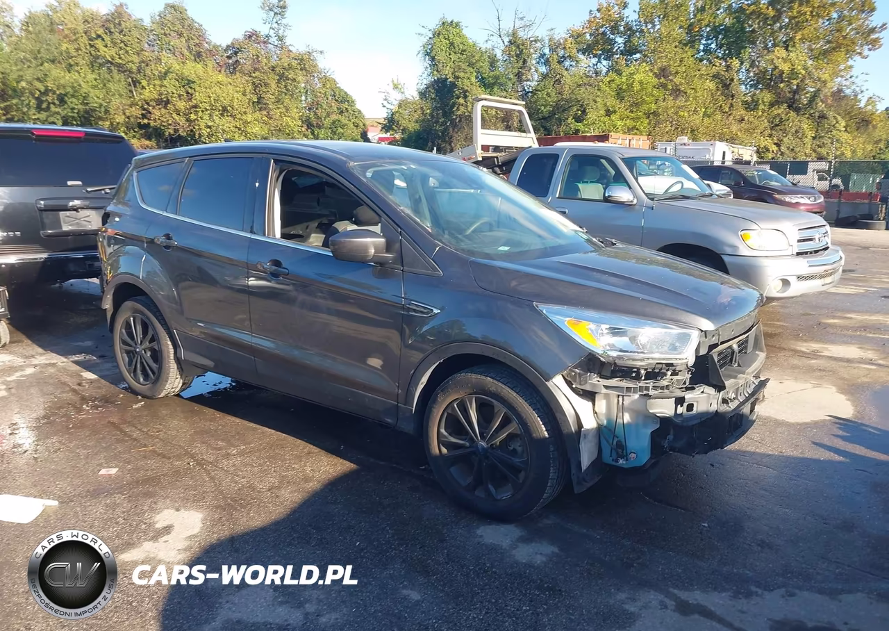 2019 Ford Escape Se