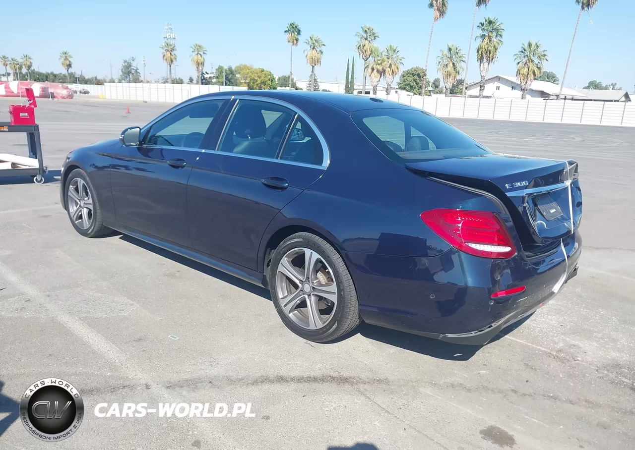 2017 Mercedes-Benz E 300 VIN:WDDZF4JB5HA080114 - 3