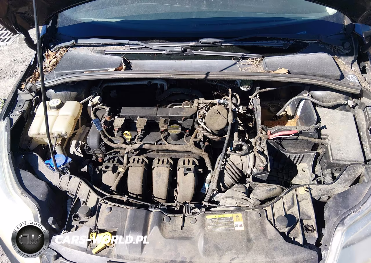 2013 Ford Focus Se VIN:1FADP3K24DL160681 - 10