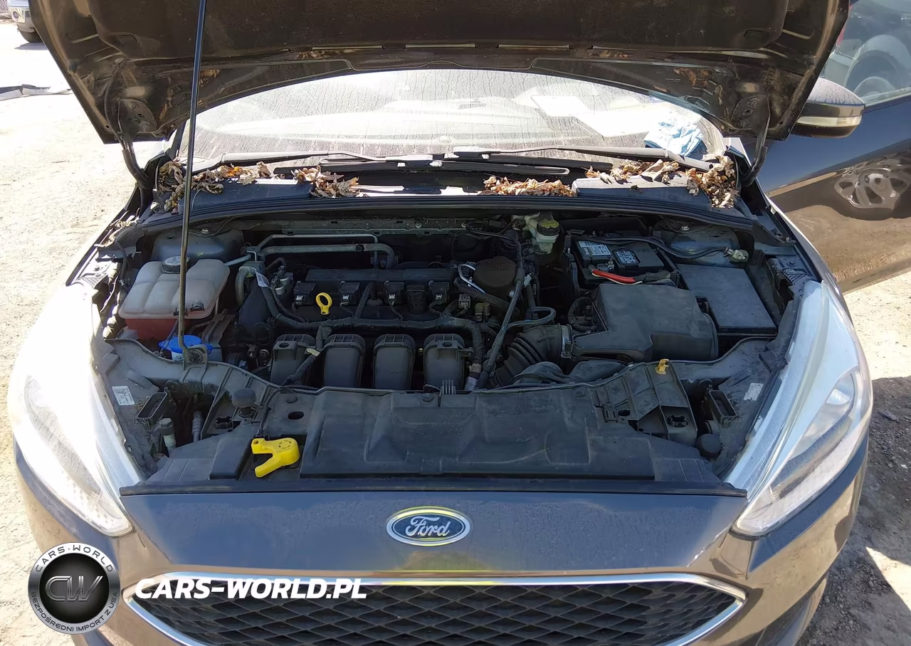 2016 Ford Focus Se VIN:1FADP3F2XGL293363 - 10