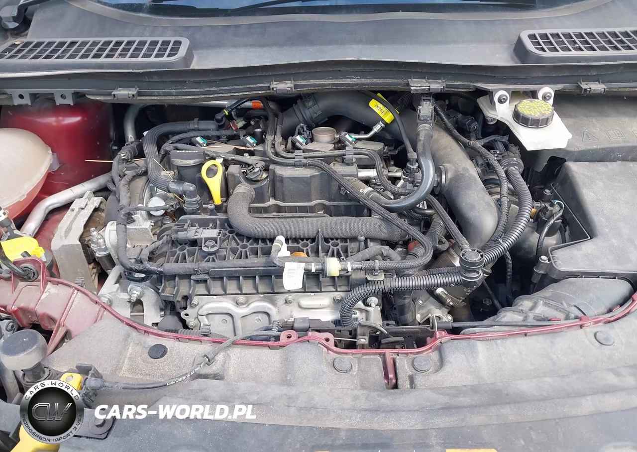2019 Ford Escape Sel VIN:1FMCU0HD1KUA12061 - 10