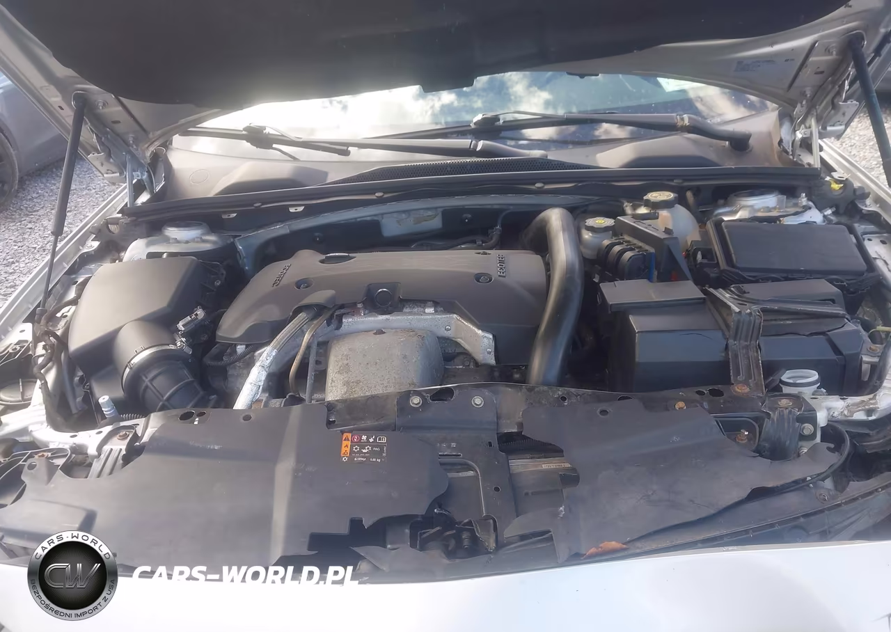 2018 Buick Regal Tourx Essence VIN:W04GV8SX4J1155990 - 10