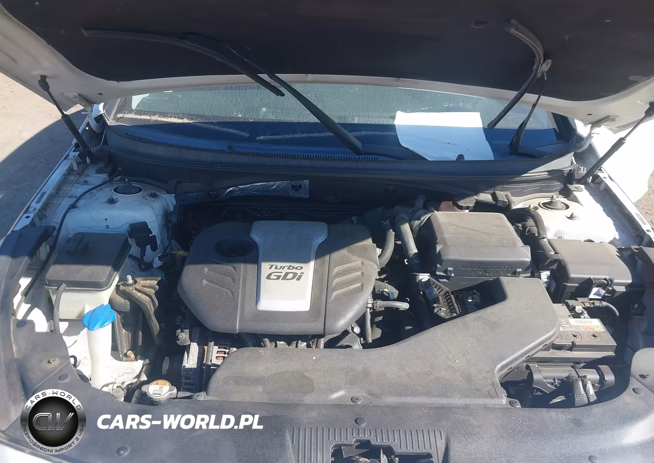 2016 Hyundai Sonata Eco VIN:5NPE24AA2GH429264 - 10
