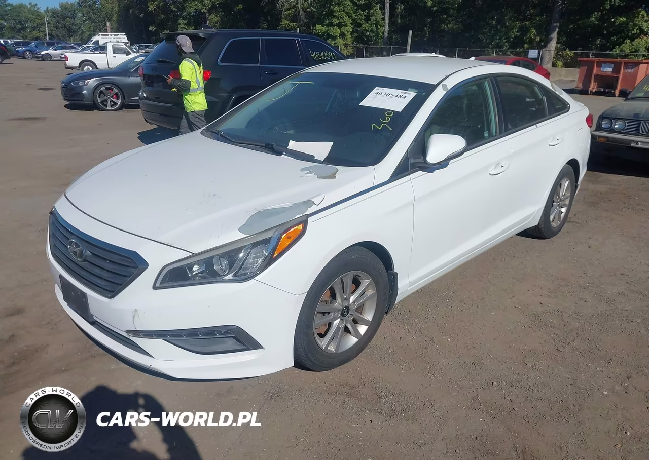 2016 Hyundai Sonata Eco VIN:5NPE24AA2GH429264 - 2