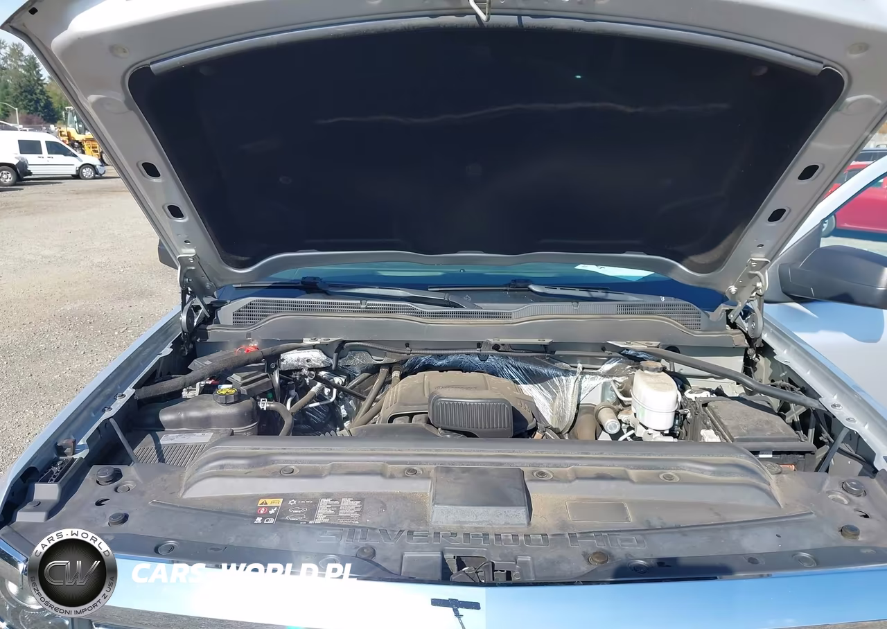 2018 Chevrolet Silverado 2500Hd Wt VIN:1GC1KUEG8JF236356 - 10