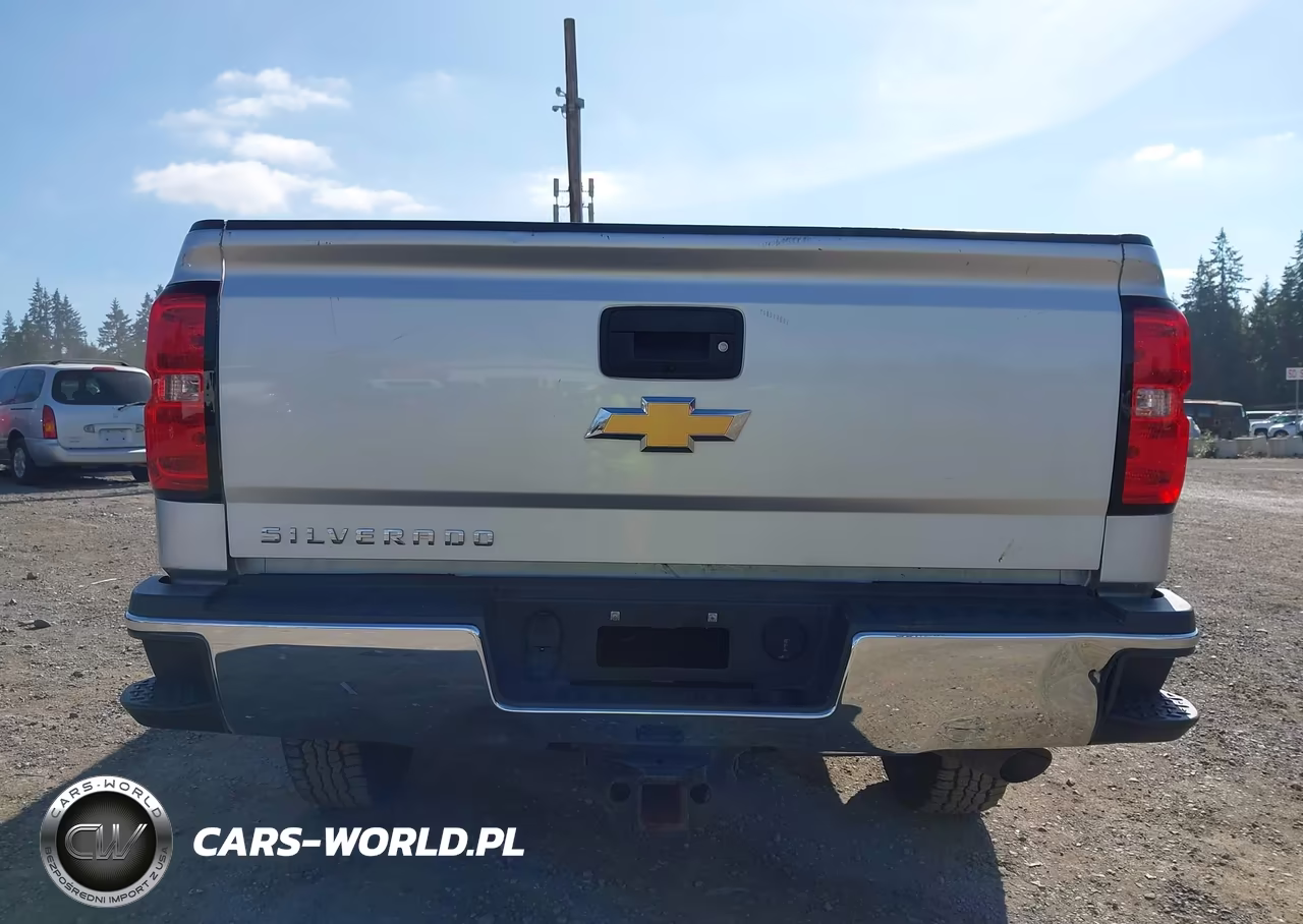 2018 Chevrolet Silverado 2500Hd Wt VIN:1GC1KUEG8JF236356 - 16