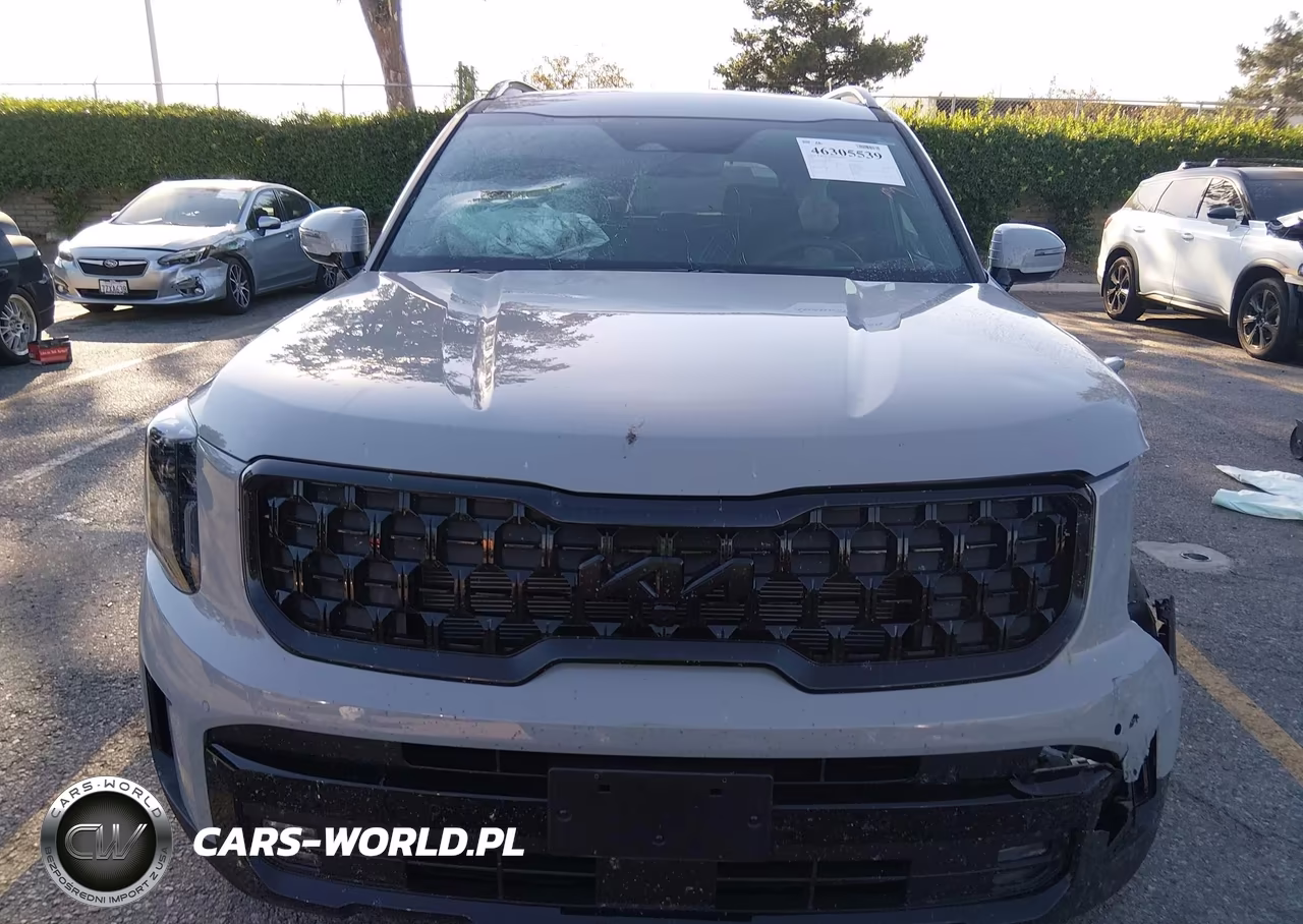 2025 Kia Telluride Sx Prestige X-Pro VIN:5XYP5DGC6SG693337 - 13