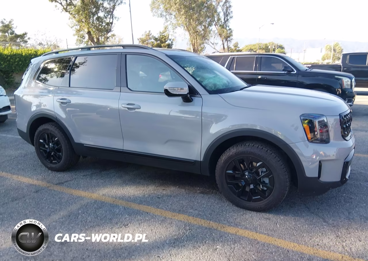 2025 Kia Telluride Sx Prestige X-Pro VIN:5XYP5DGC6SG693337 - 14