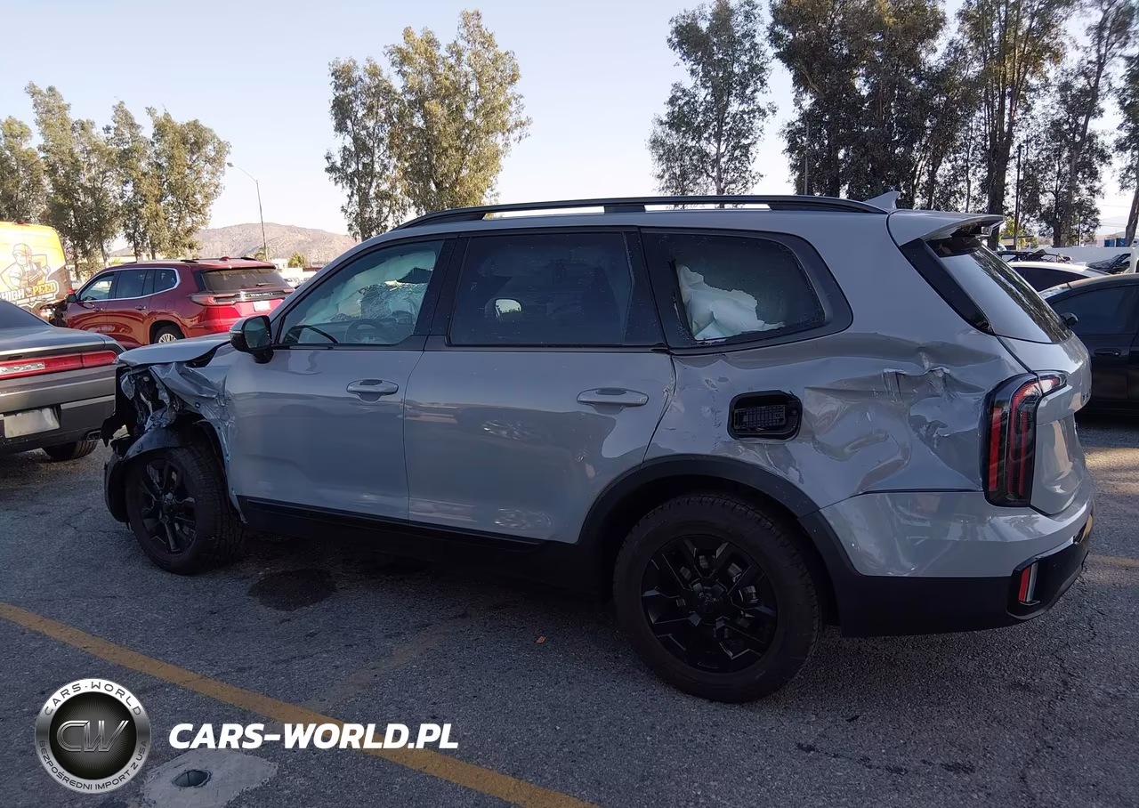 2025 Kia Telluride Sx Prestige X-Pro VIN:5XYP5DGC6SG693337 - 15