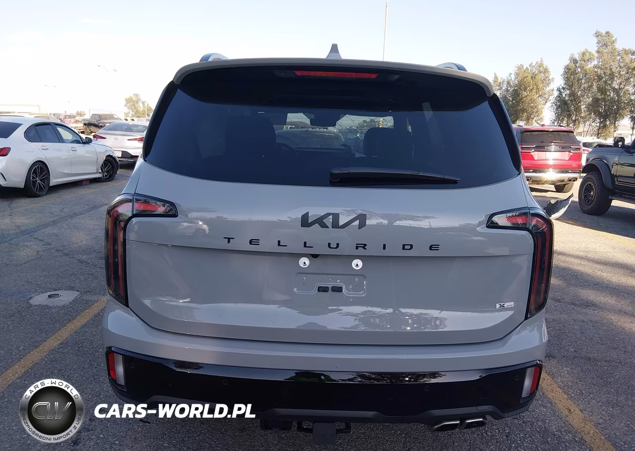 2025 Kia Telluride Sx Prestige X-Pro VIN:5XYP5DGC6SG693337 - 17