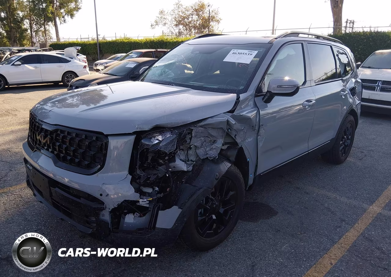 2025 Kia Telluride Sx Prestige X-Pro VIN:5XYP5DGC6SG693337 - 2