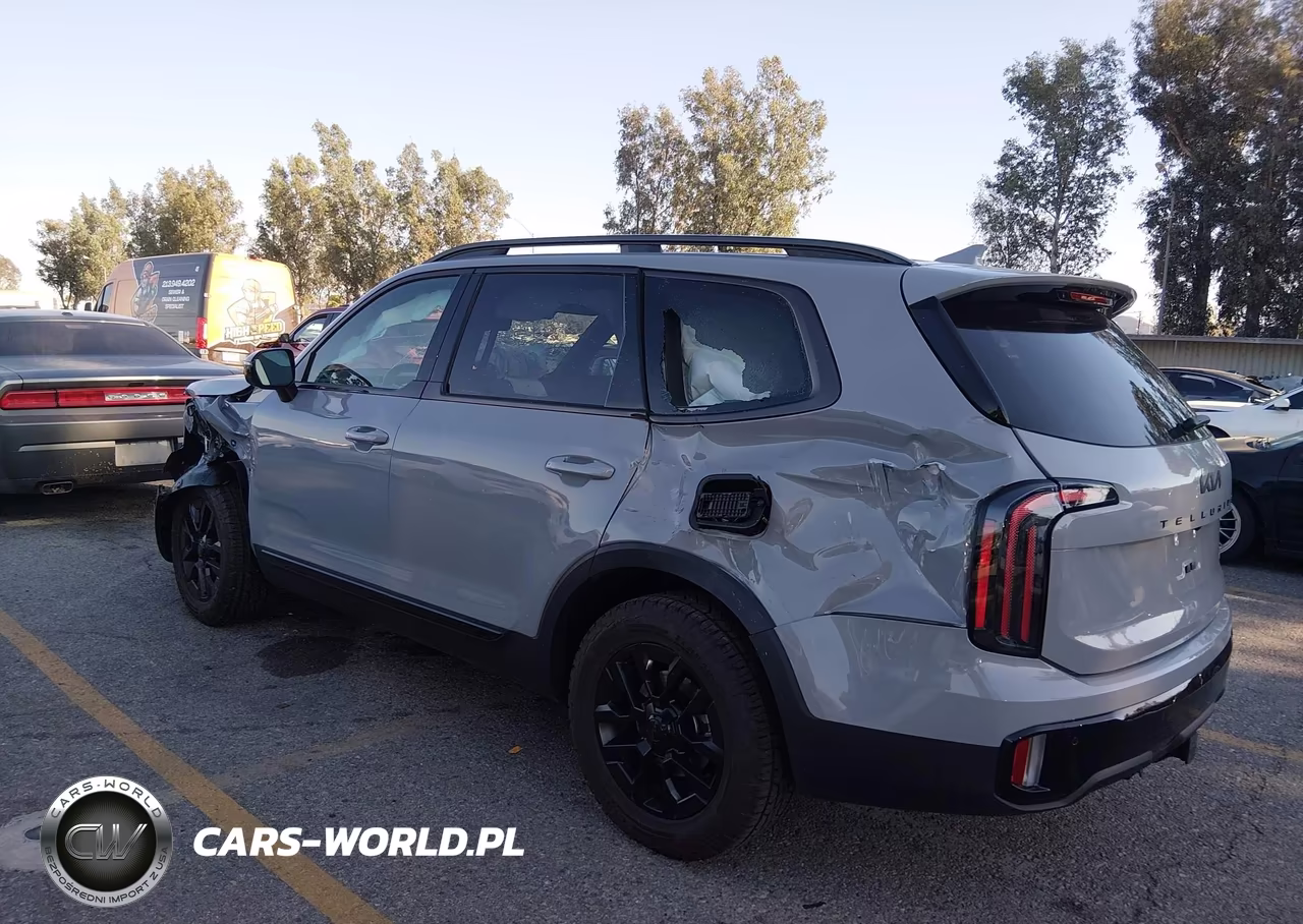 2025 Kia Telluride Sx Prestige X-Pro VIN:5XYP5DGC6SG693337 - 3