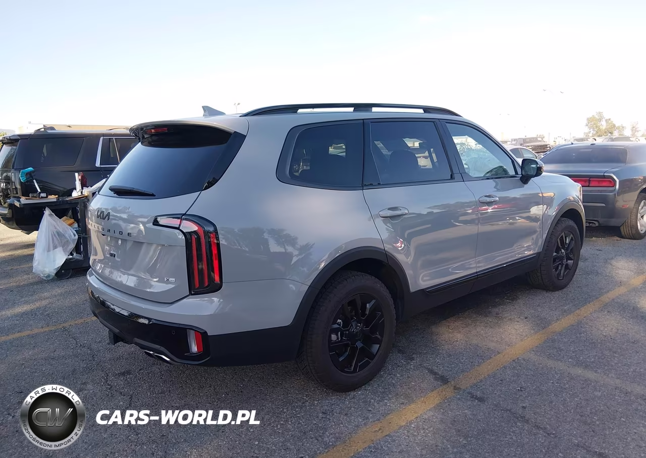2025 Kia Telluride Sx Prestige X-Pro VIN:5XYP5DGC6SG693337 - 4