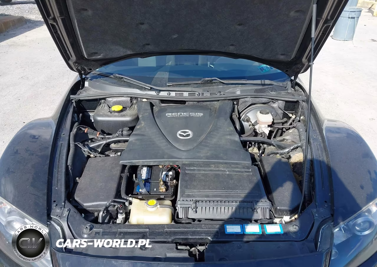2004 Mazda Rx-8 6 Speed Manual VIN:JM1FE173440118821 - 10