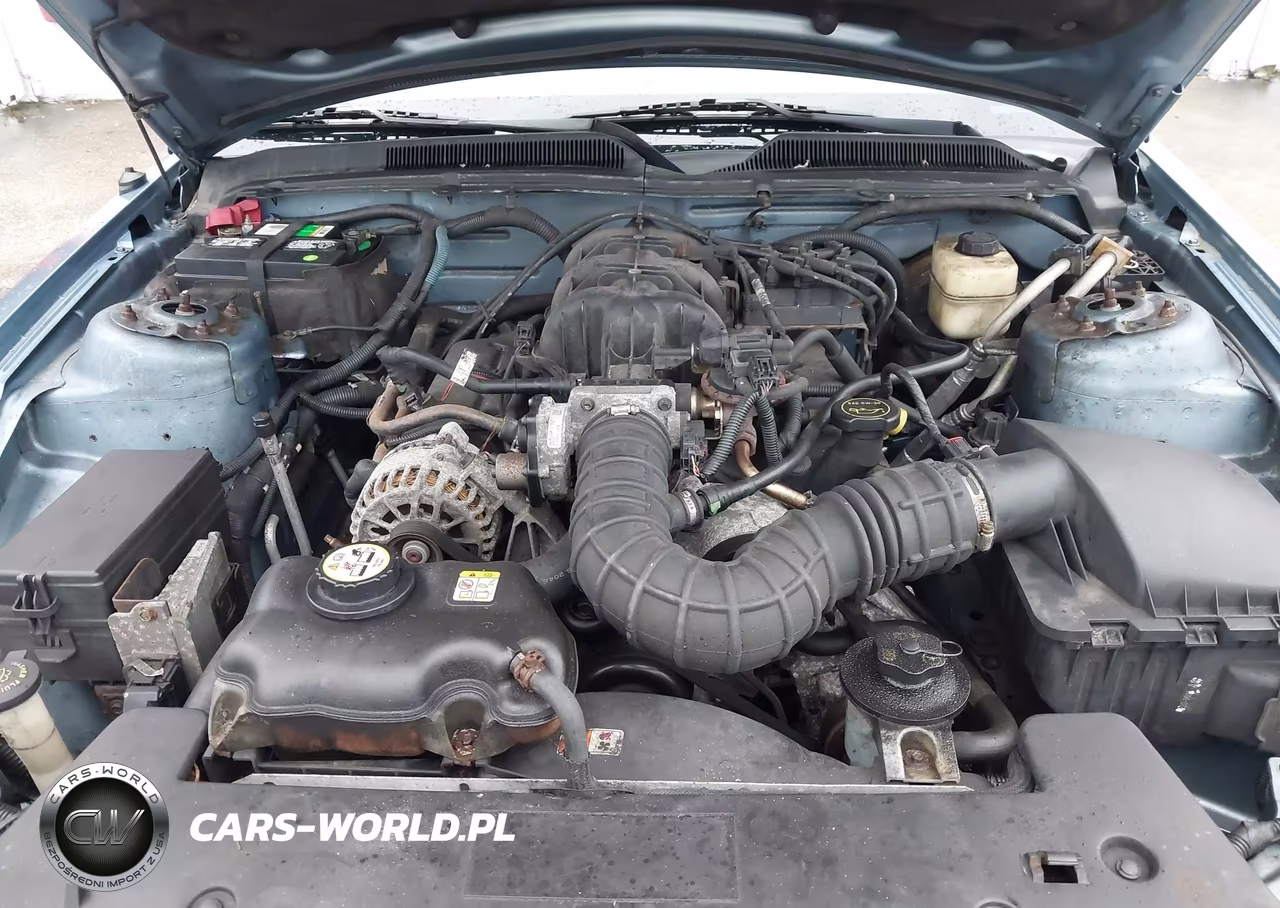 2007 Ford Mustang V6 Deluxe-V6 Premium VIN:1ZVFT80N975334730 - 10