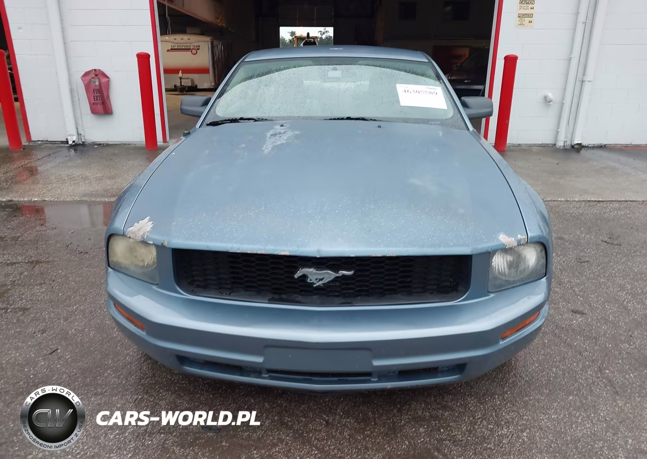2007 Ford Mustang V6 Deluxe-V6 Premium VIN:1ZVFT80N975334730 - 6