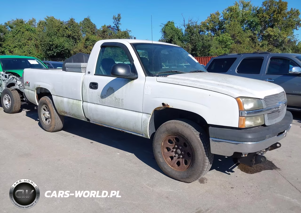 2005 Chevrolet Silverado 1500 Work Truck