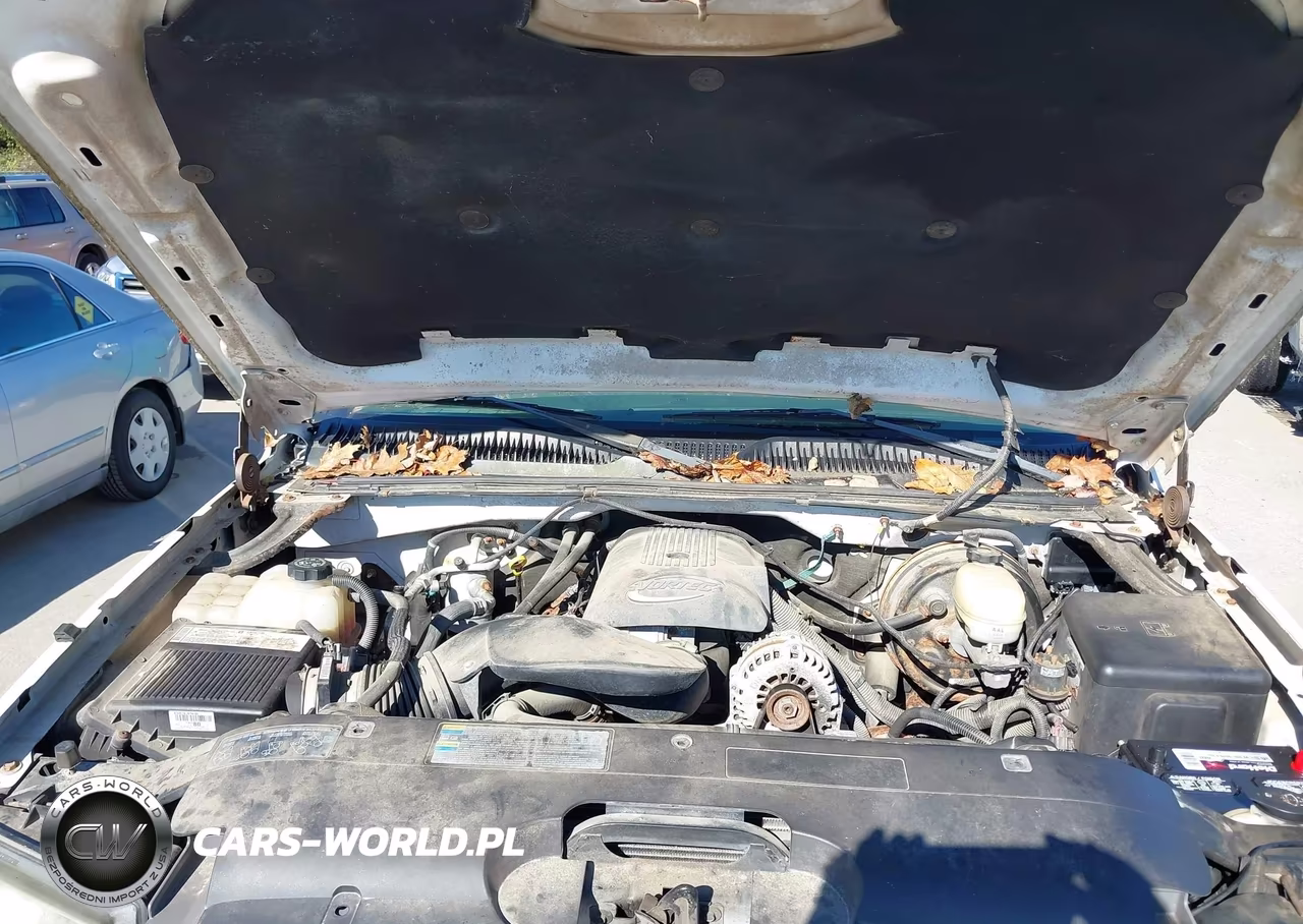 2005 Chevrolet Silverado 1500 Work Truck VIN:1GCEK14V05E295719 - 10