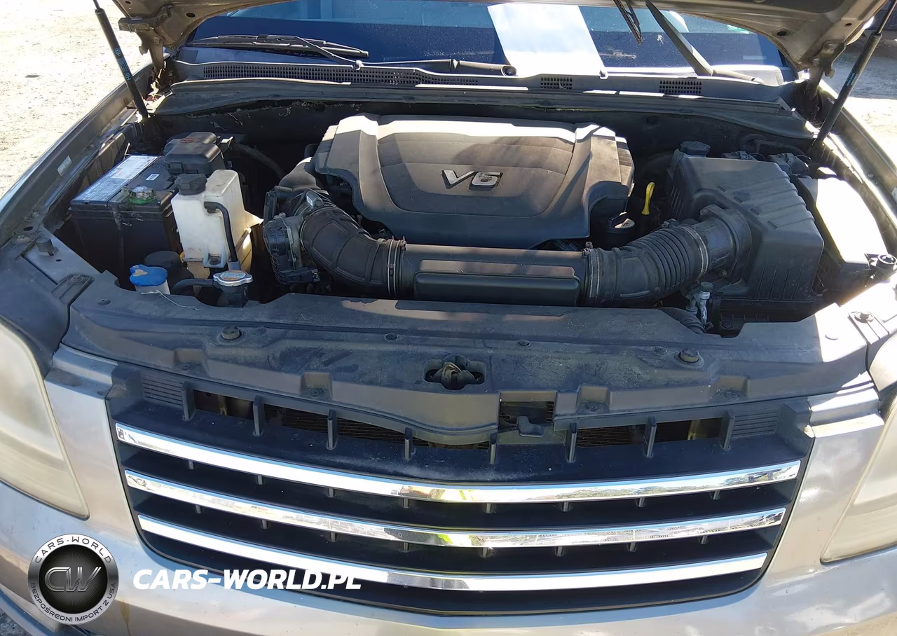 2009 Kia Borrego Ex V6 VIN:KNDJJ741395036410 - 10