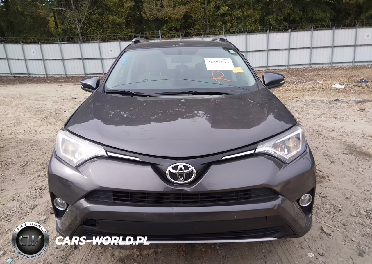 2016 Toyota Rav4 Xle VIN:2T3WFREV5GW281154 - 13