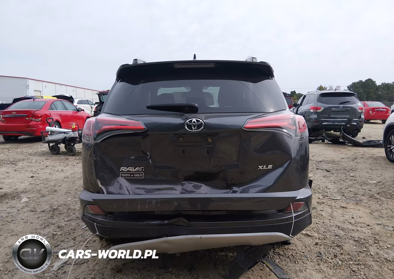 2016 Toyota Rav4 Xle VIN:2T3WFREV5GW281154 - 17