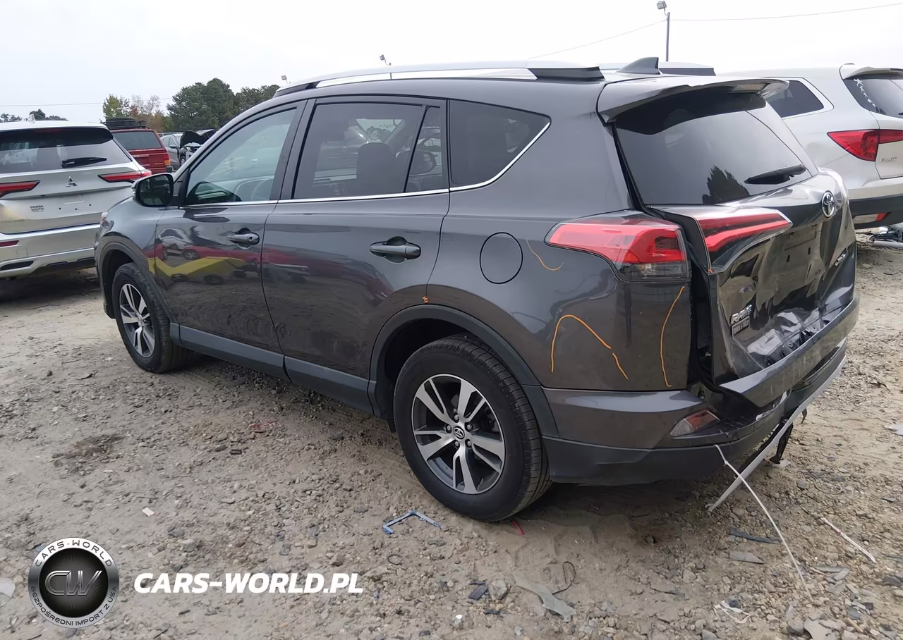 2016 Toyota Rav4 Xle VIN:2T3WFREV5GW281154 - 3