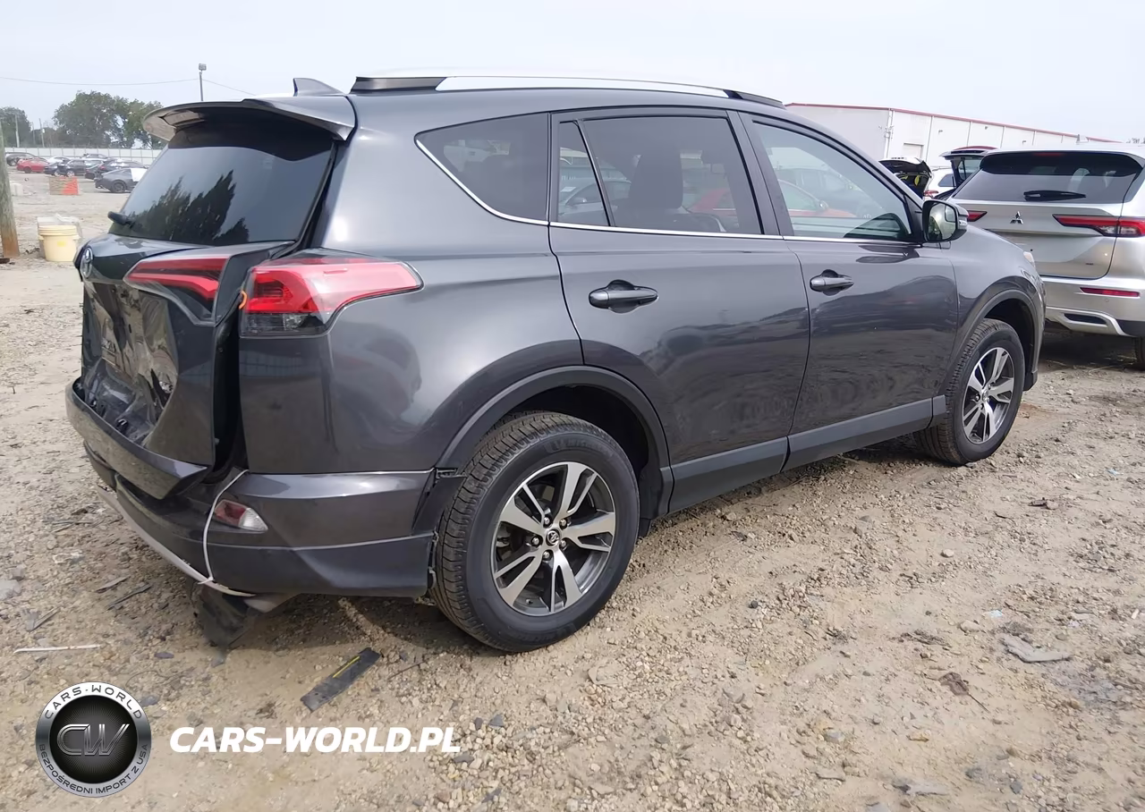 2016 Toyota Rav4 Xle VIN:2T3WFREV5GW281154 - 4