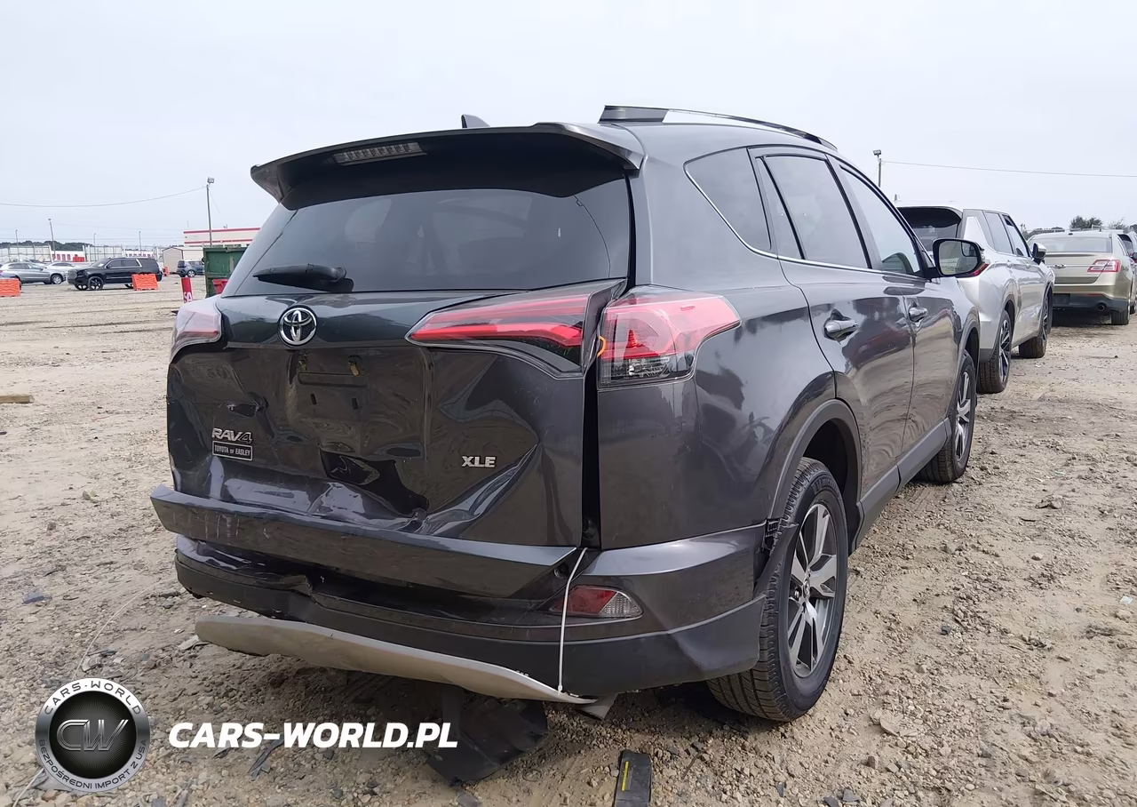 2016 Toyota Rav4 Xle VIN:2T3WFREV5GW281154 - 6
