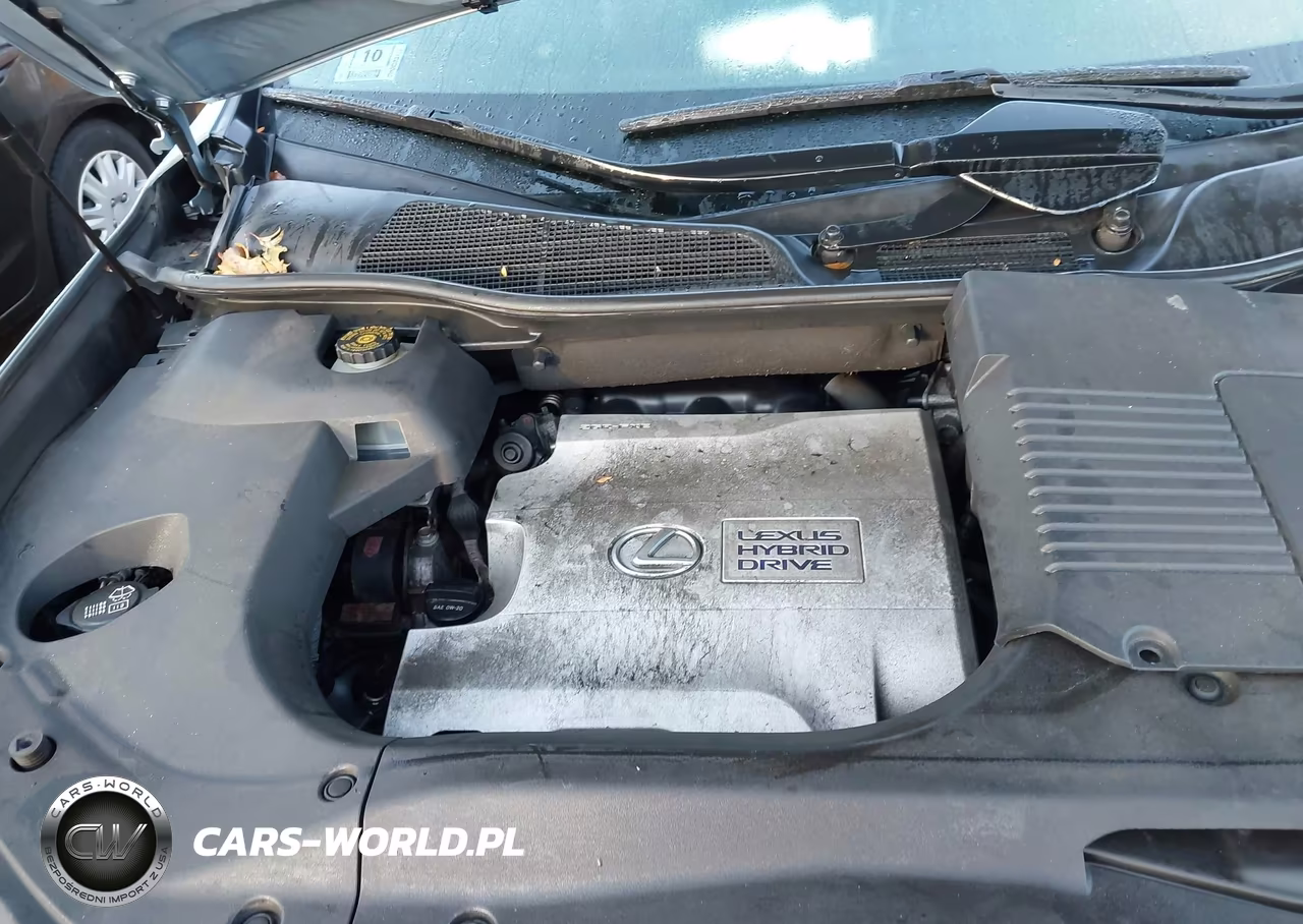 2010 Lexus Rx 450H VIN:JTJBC1BA7A2410485 - 10
