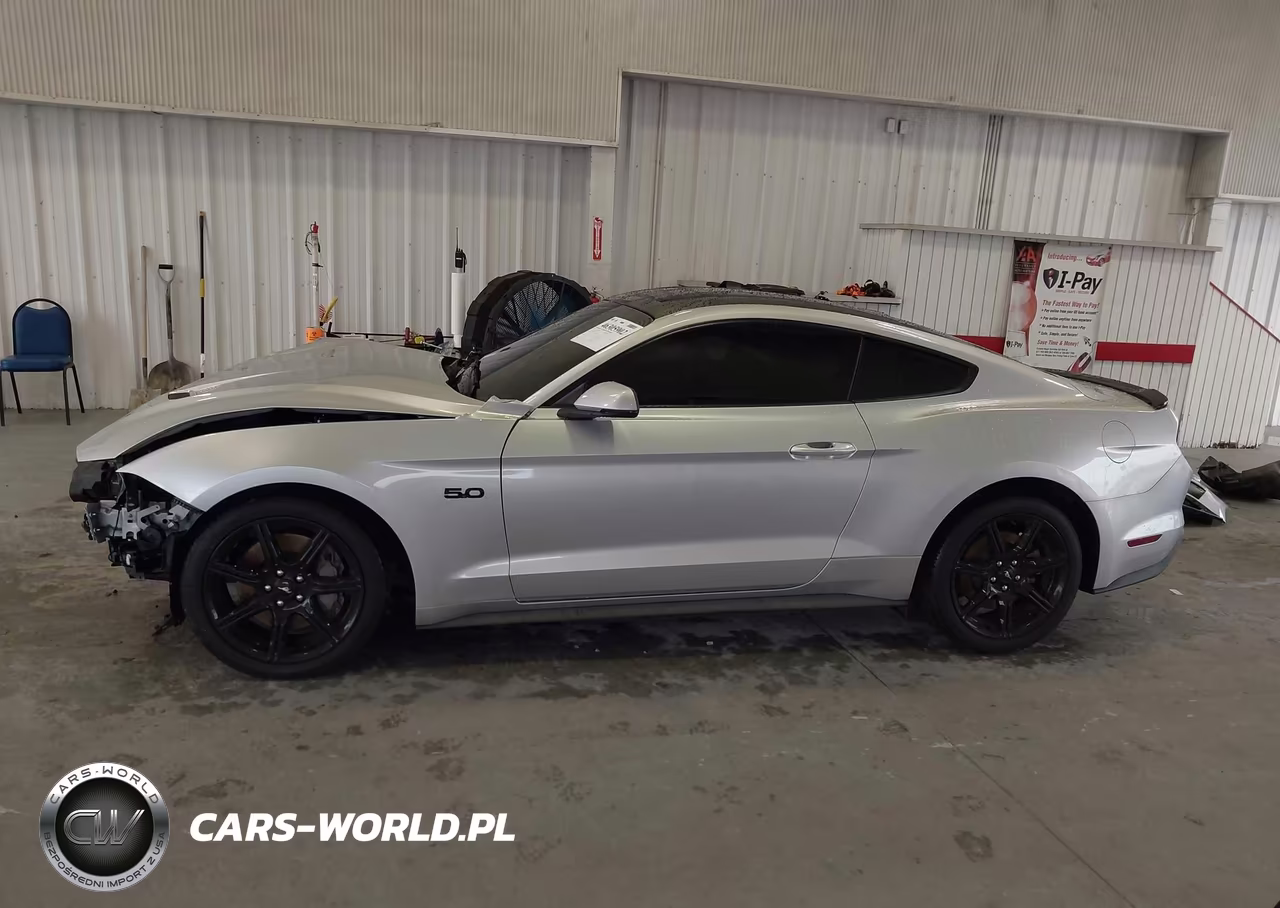2019 Ford Mustang Gt Premium VIN:1FA6P8CF0K5174179 - 15