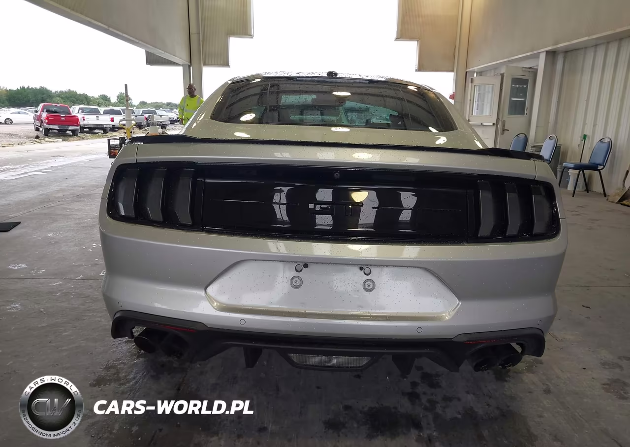 2019 Ford Mustang Gt Premium VIN:1FA6P8CF0K5174179 - 17
