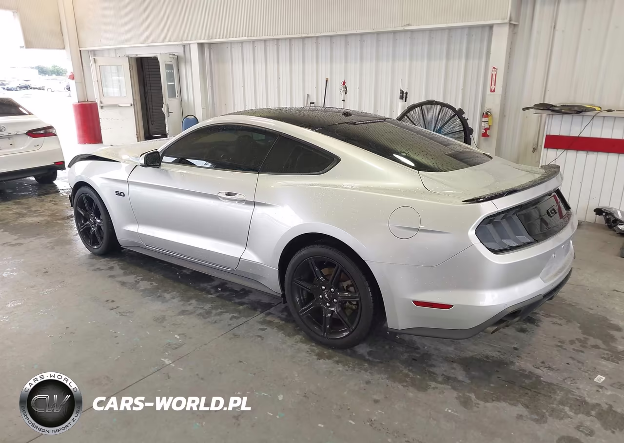 2019 Ford Mustang Gt Premium VIN:1FA6P8CF0K5174179 - 3