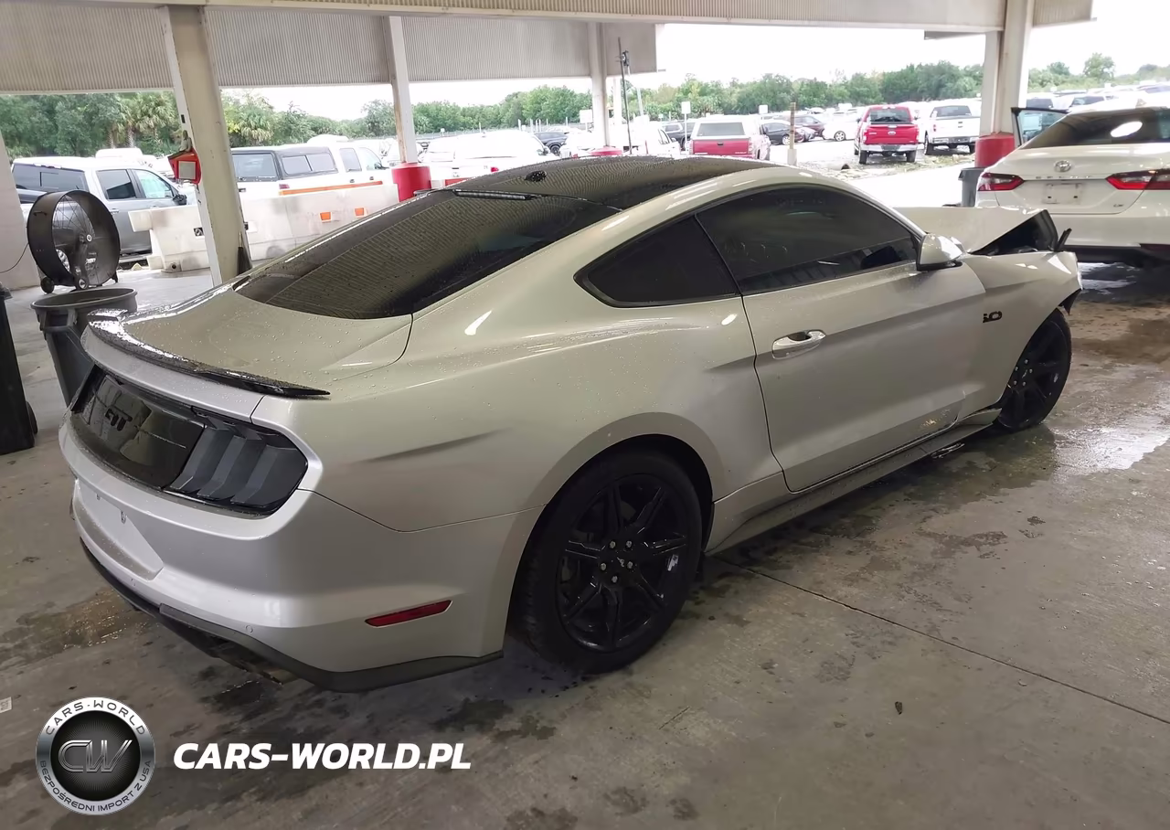2019 Ford Mustang Gt Premium VIN:1FA6P8CF0K5174179 - 4