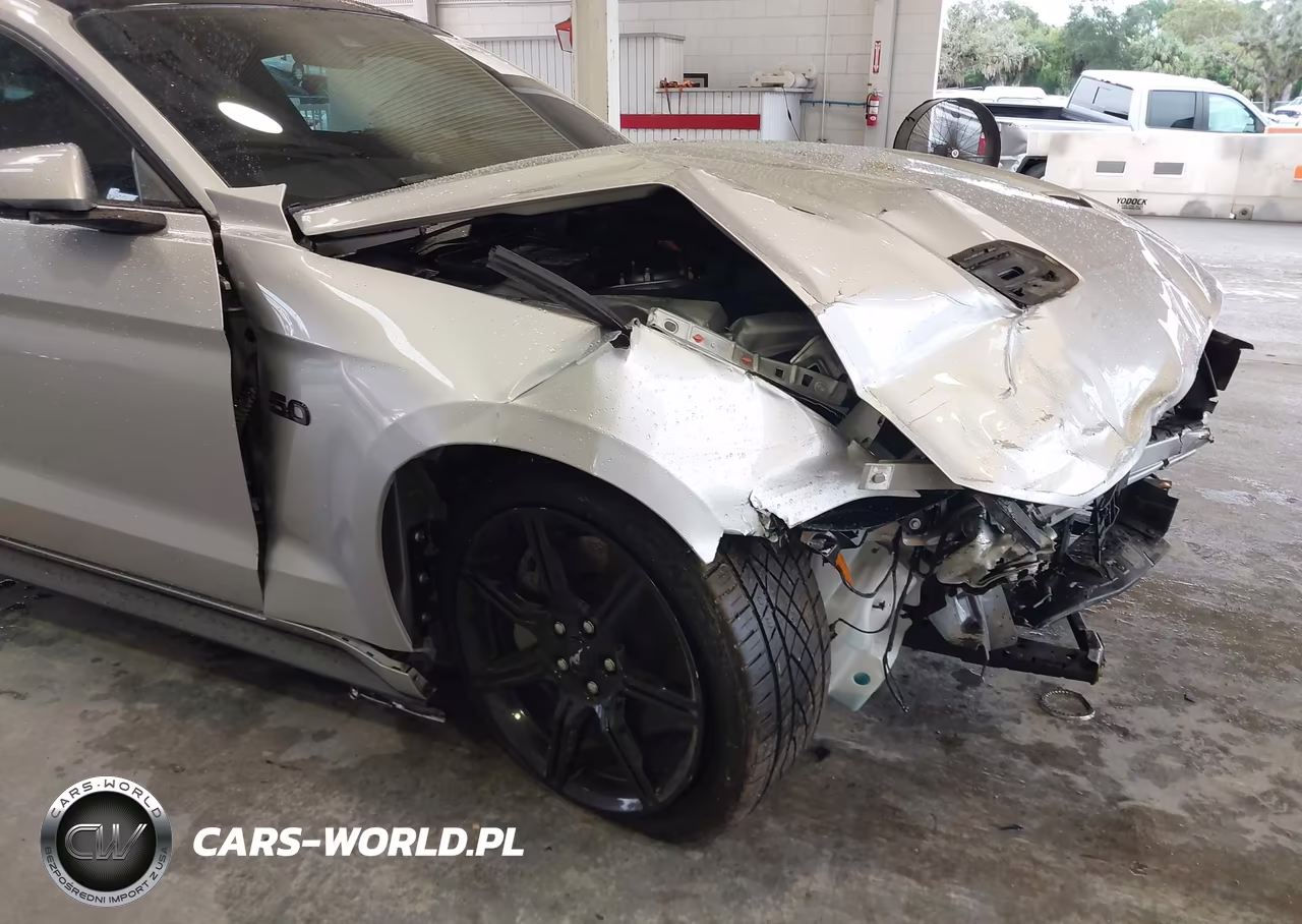 2019 Ford Mustang Gt Premium VIN:1FA6P8CF0K5174179 - 6