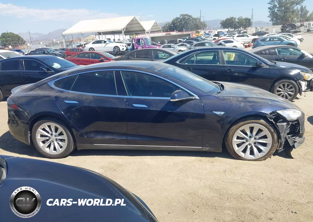 2013 Tesla Model S Performance VIN:5YJSA1CP1DFP13761 - 12