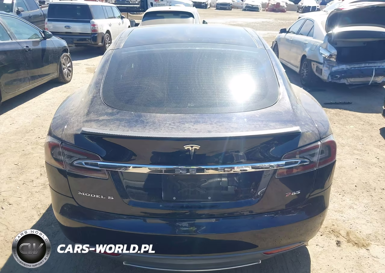 2013 Tesla Model S Performance VIN:5YJSA1CP1DFP13761 - 15