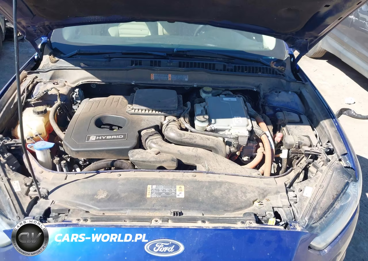 2016 Ford Fusion Hybrid Se VIN:3FA6P0LU5GR318457 - 10