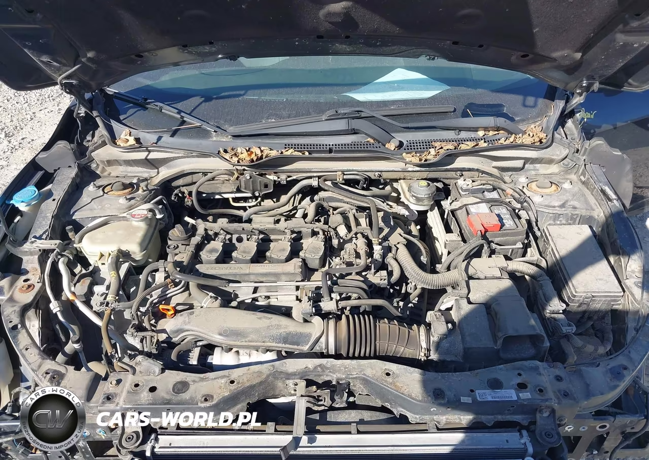 2016 Honda Civic Ex-L VIN:19XFC1F70GE006569 - 10